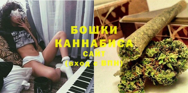 прущие грибы Вязники