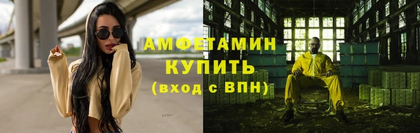 прущие грибы Вязники