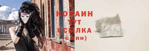 твердый Горнозаводск