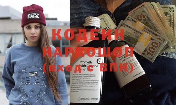 прущие грибы Вязники