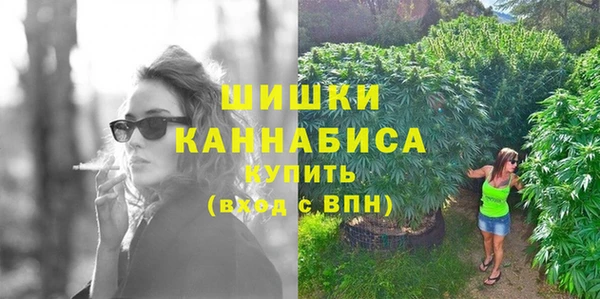 прущие грибы Вязники