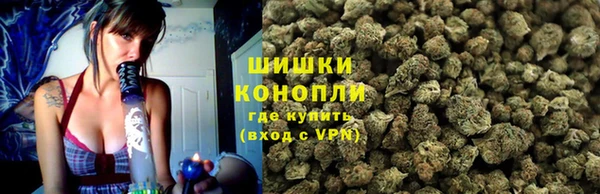 шишки Вязьма