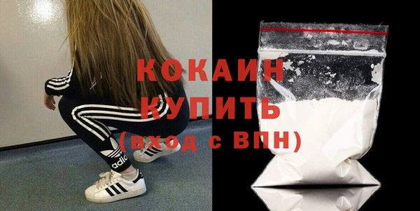 шишки Вязьма