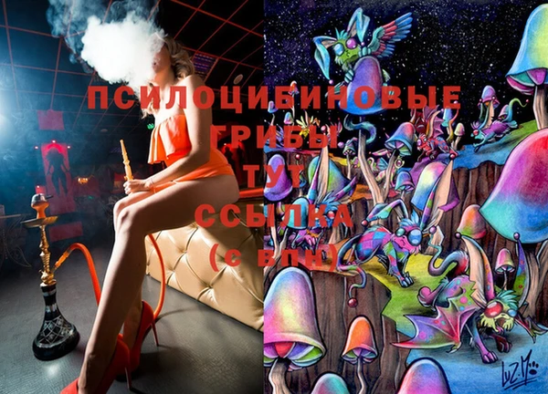 герыч Вяземский