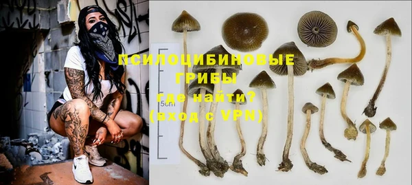 шишки Вязьма