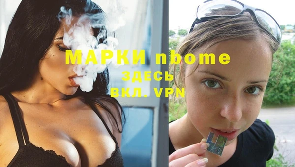 прущие грибы Вязники