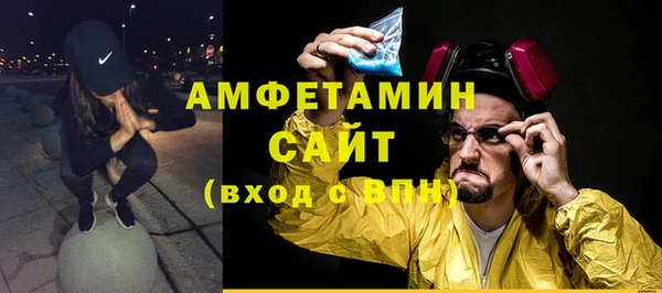 прущие грибы Вязники