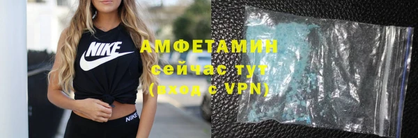 прущие грибы Вязники